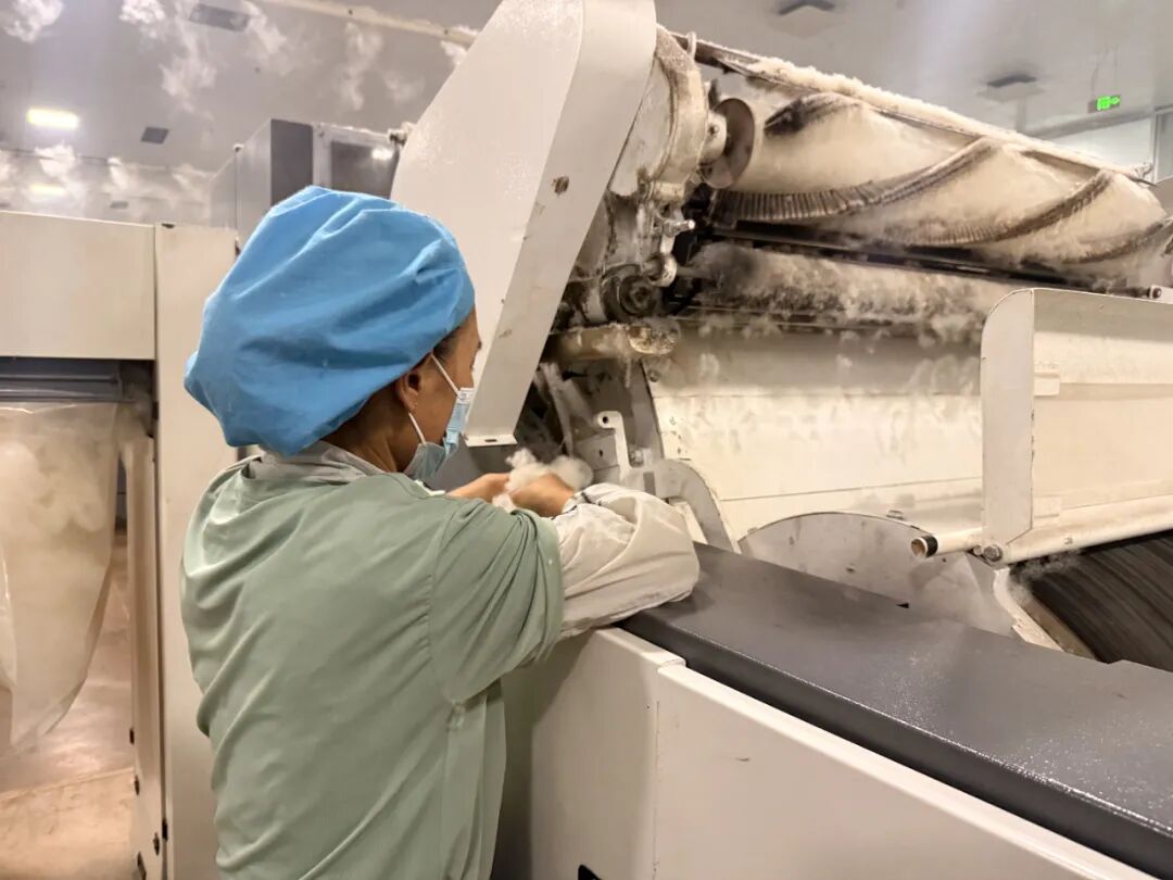 鄂托克前旗:“一克绒”温暖一座城