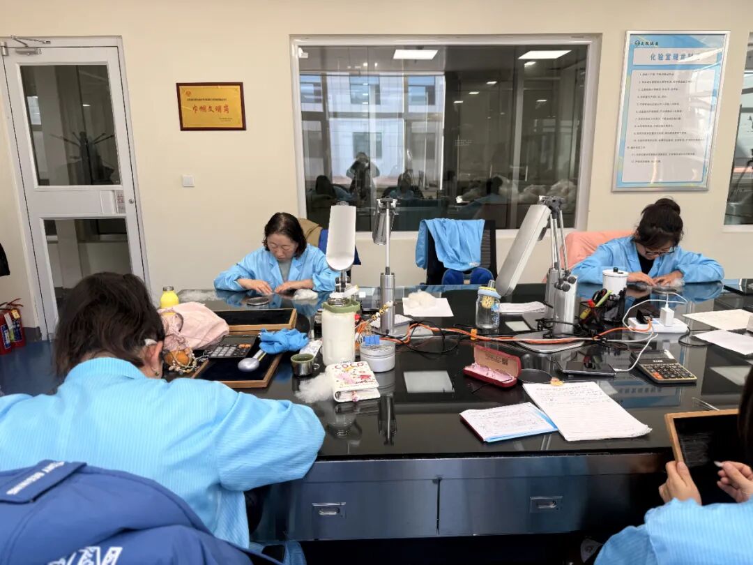 鄂托克前旗:“一克绒”温暖一座城