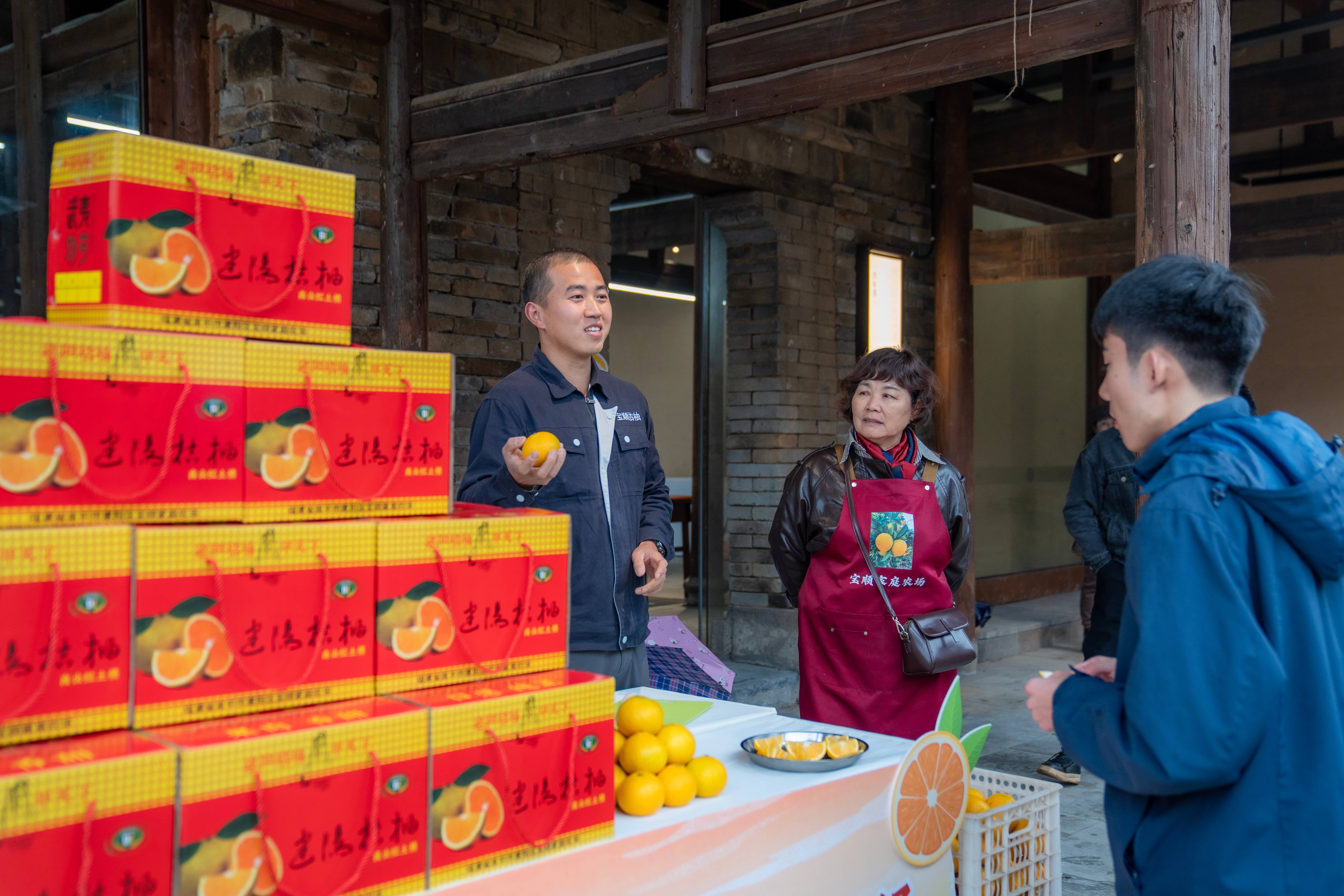 福建建阳桔柚喜迎大丰收，电商助农让果园变“金山”