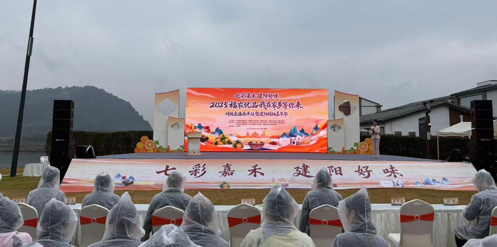 福建建阳桔柚喜迎大丰收，电商助农让果园变“金山”