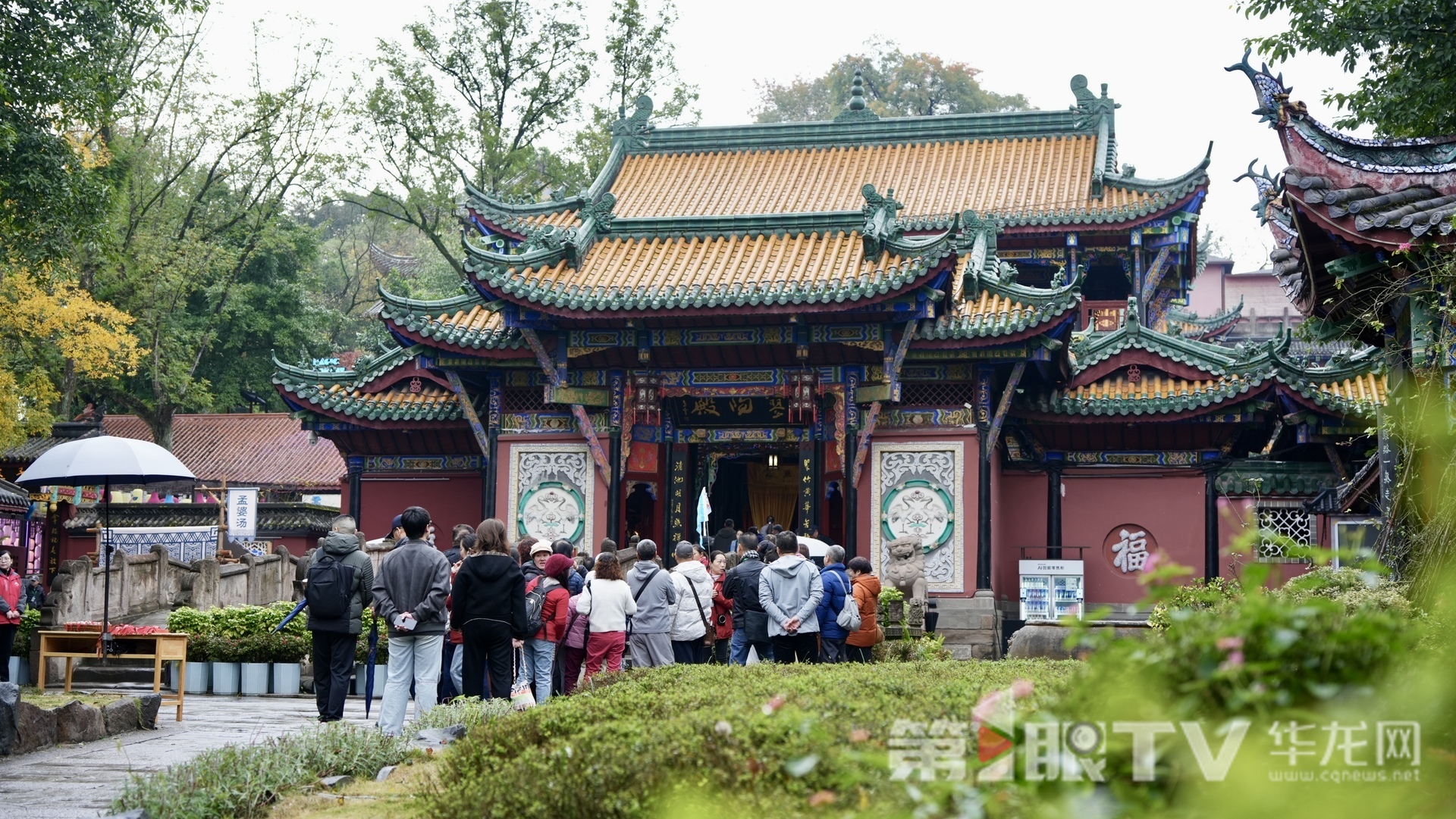 视频 | 三峡之旅惊艳境外客商 重庆文旅“组合拳”激活入境市场 视频 | 三峡之旅惊艳境外客商 重庆文旅“组合拳”激活入境市场