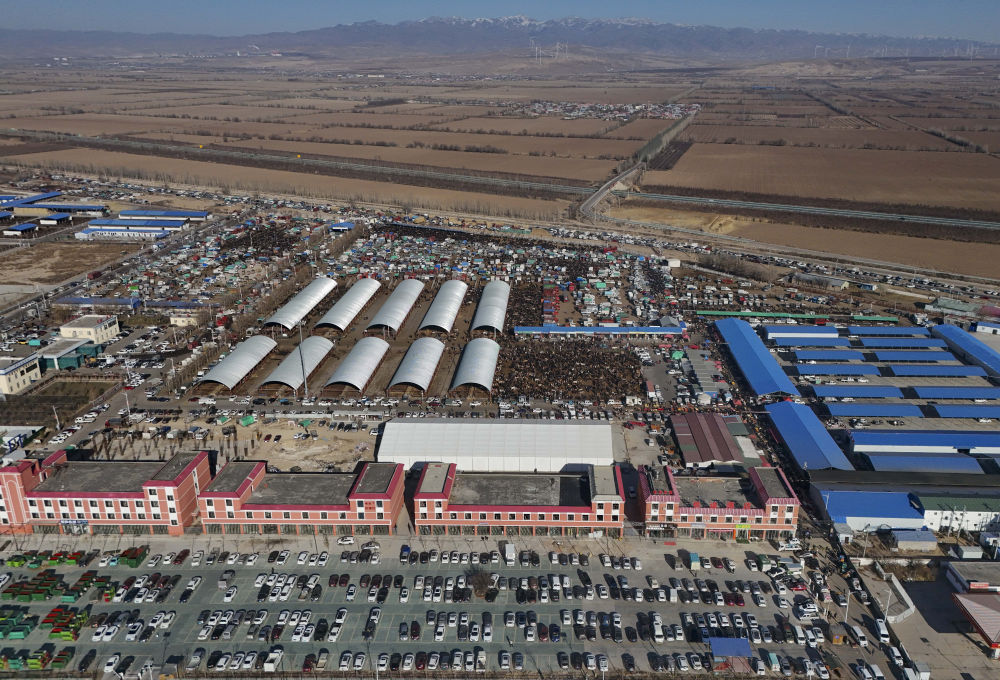 在新疆的巴扎 他们是连接牧场和市场的“纽带” 在新疆的巴扎 他们是连接牧场和市场的“纽带”