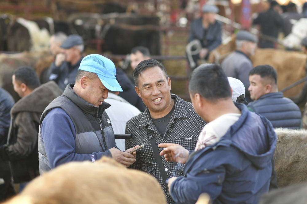 在新疆的巴扎 他们是连接牧场和市场的“纽带” 在新疆的巴扎 他们是连接牧场和市场的“纽带”