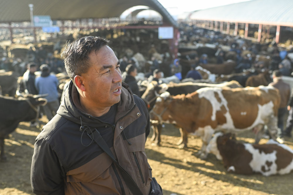 在新疆的巴扎 他们是连接牧场和市场的“纽带” 在新疆的巴扎 他们是连接牧场和市场的“纽带”