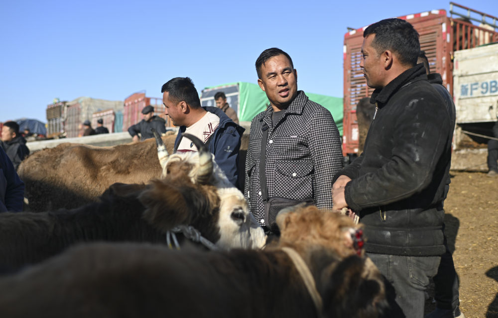 在新疆的巴扎 他们是连接牧场和市场的“纽带” 在新疆的巴扎 他们是连接牧场和市场的“纽带”