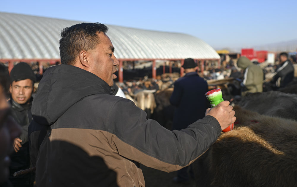 在新疆的巴扎 他们是连接牧场和市场的“纽带” 在新疆的巴扎 他们是连接牧场和市场的“纽带”