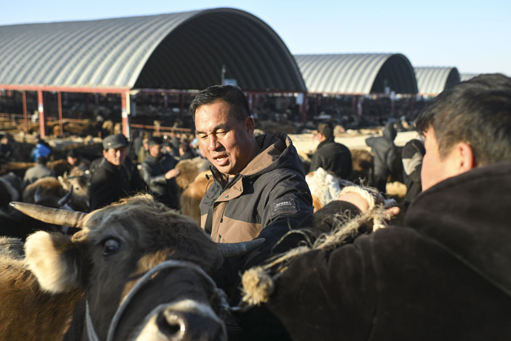 在新疆的巴扎 他们是连接牧场和市场的“纽带” 在新疆的巴扎 他们是连接牧场和市场的“纽带”