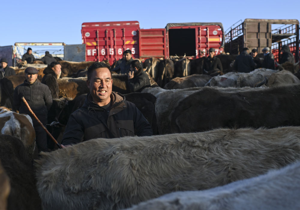 在新疆的巴扎 他们是连接牧场和市场的“纽带” 在新疆的巴扎 他们是连接牧场和市场的“纽带”