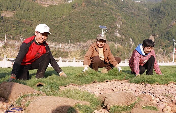 荒滩披绿装 “神农公园”入画来 荒滩披绿装 “神农公园”入画来