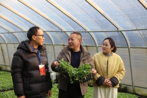 河南博爱：精准监督护航育苗产业发展&nbsp; &nbsp;