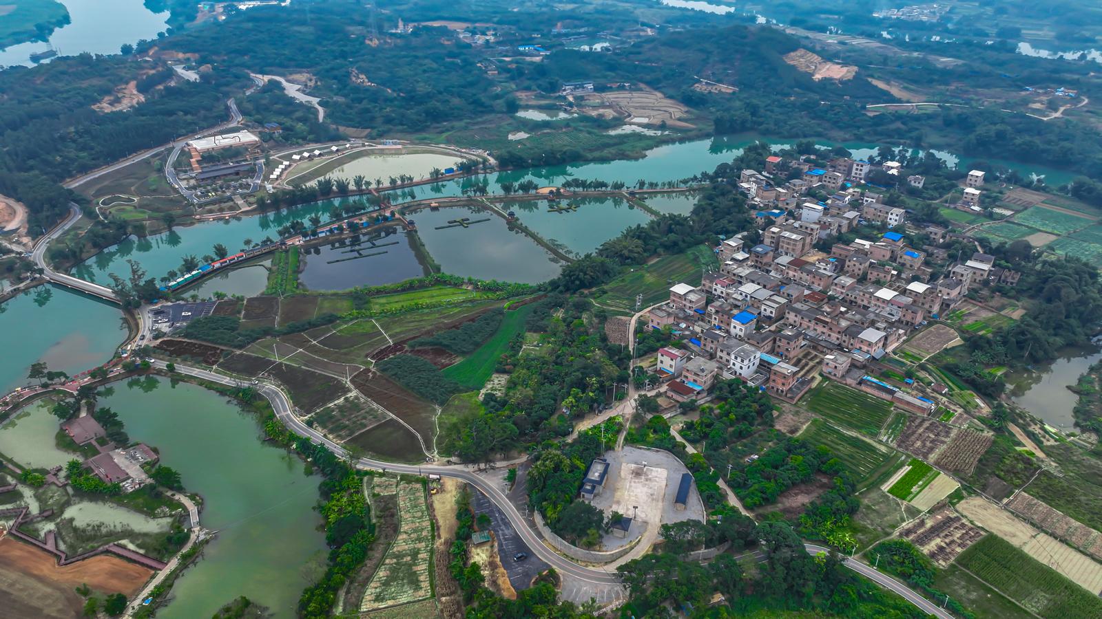 乡村振兴“路路通”——广西普通公路建设绘就乡村发展新图景