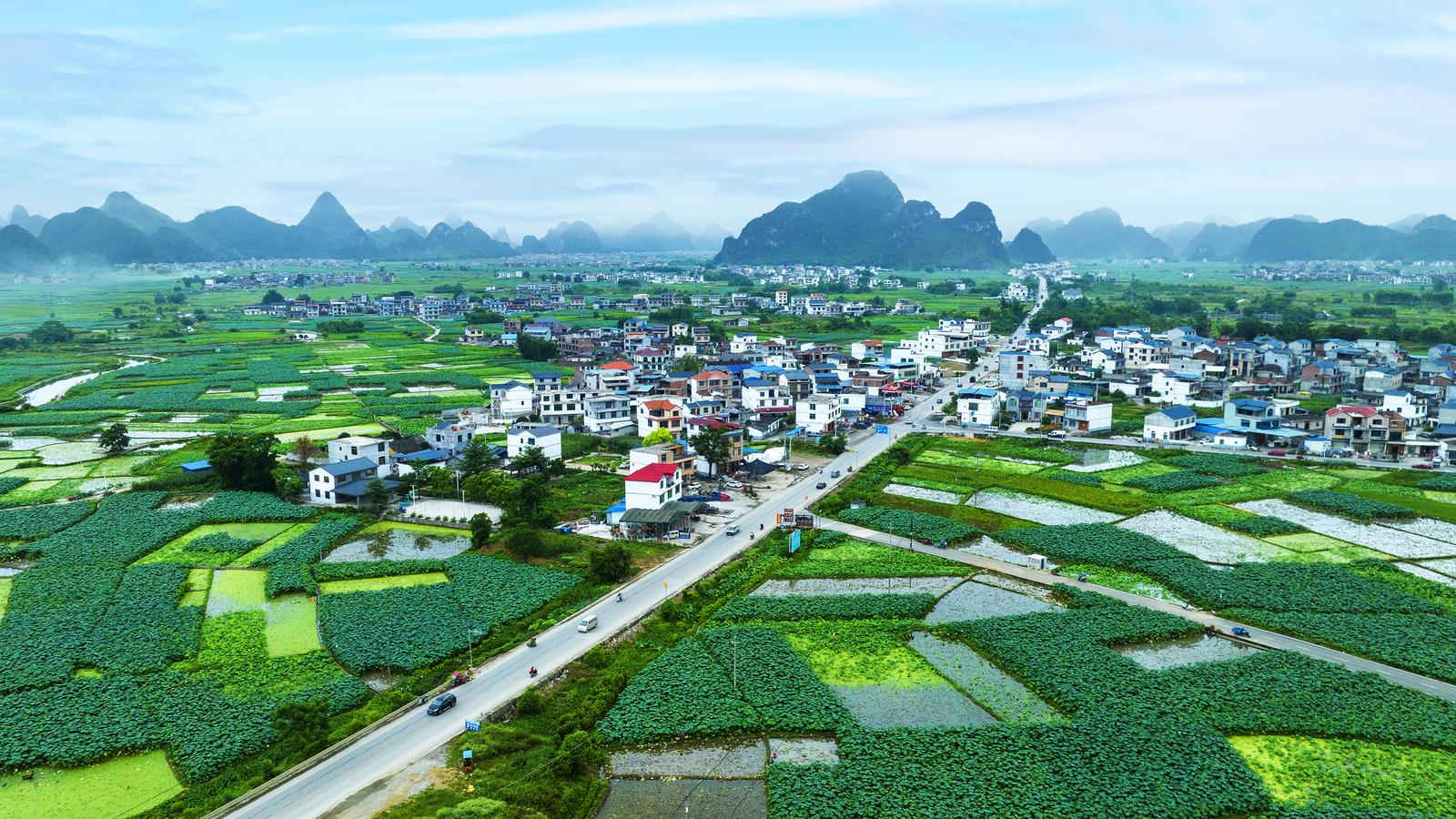 乡村振兴“路路通”——广西普通公路建设绘就乡村发展新图景