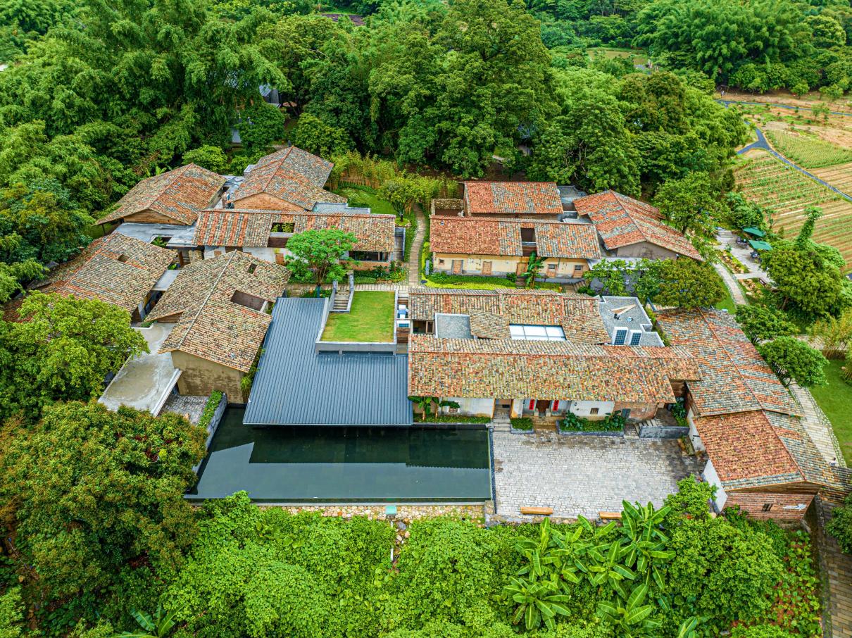 福田-博罗文旅协作,何以成就湾区乡村振兴新样本? 福田-博罗文旅协作,何以成就湾区乡村振兴新样本?