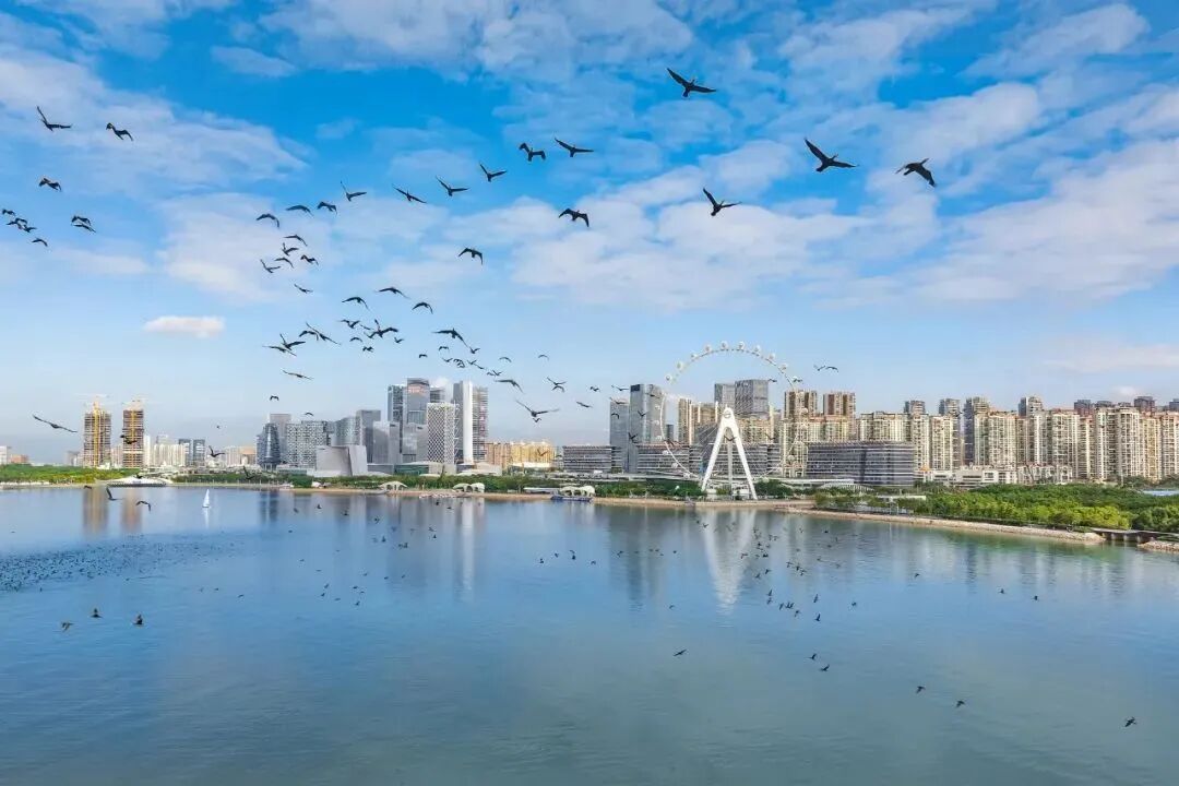 《经济日报》再度关注深圳宝安:以场景开放牵引产业变革 7e239156592c308c83ea0ce85e36b2ef_640_wx_fmt=jpeg&from=appmsg.jpg