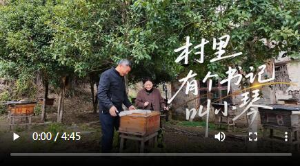 江西黎川：村里有个书记叫小琴