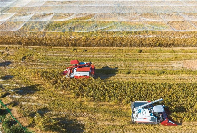 真抓实干谋发展 奋勇争先启新篇——“十四五”榆林经济社会高质量发展综述