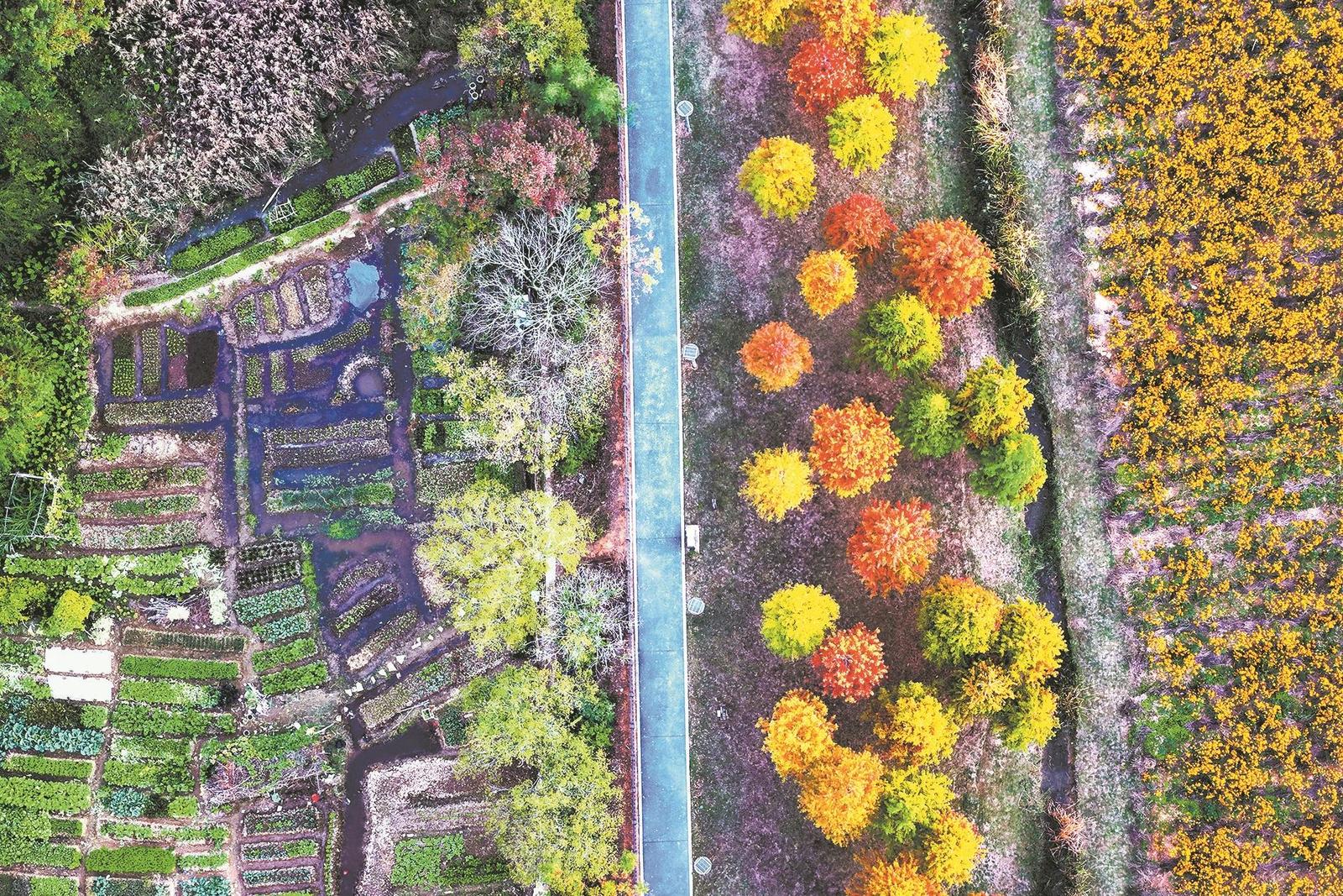 色彩斑斓冬韵正浓