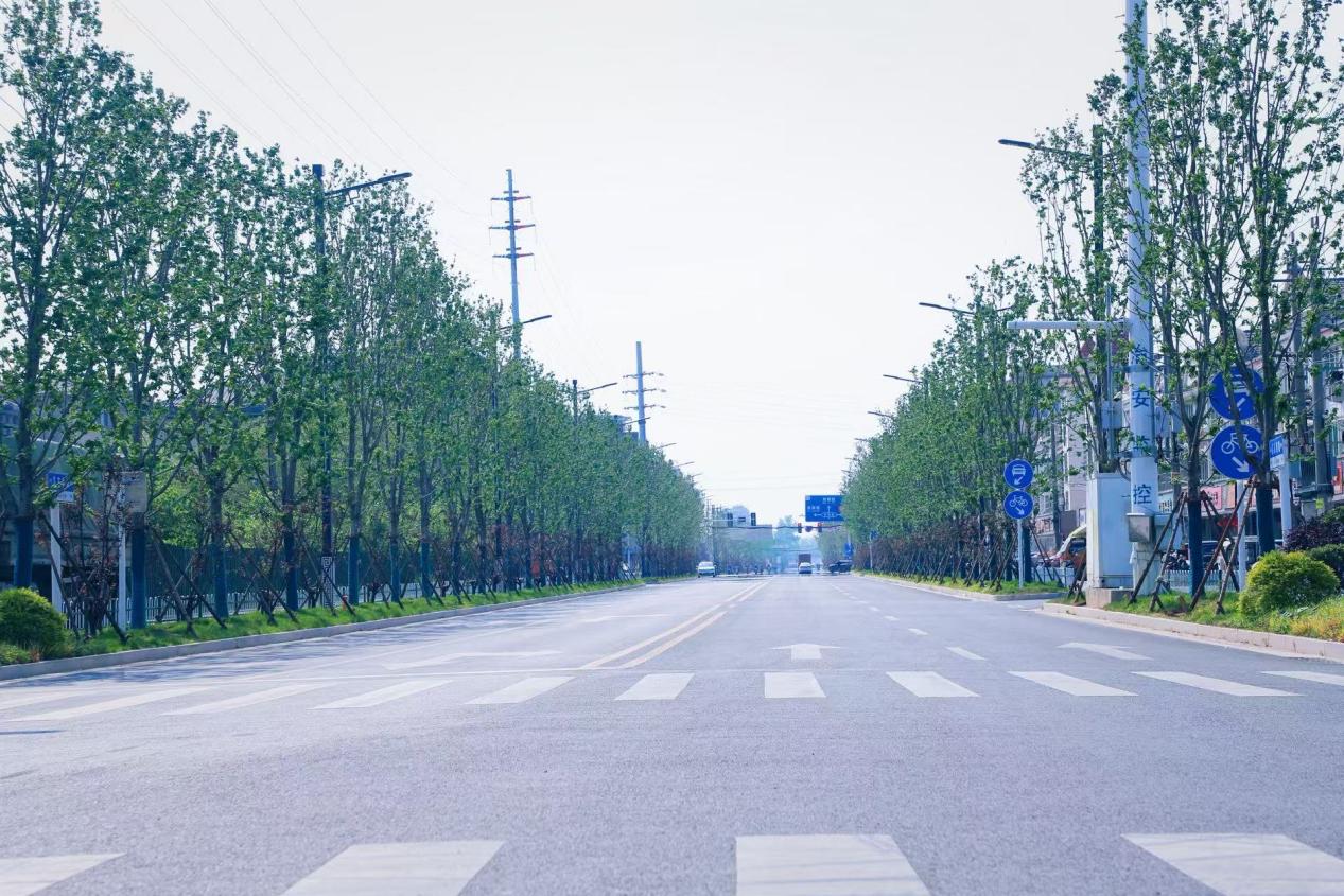 扬州邗江区瓜洲镇：“路”见幸福，内畅外联绘就古镇振兴新图景