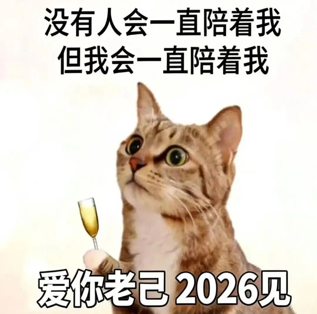 爱你老己!坪山元旦跨年狂欢攻略在此!| 2026来了