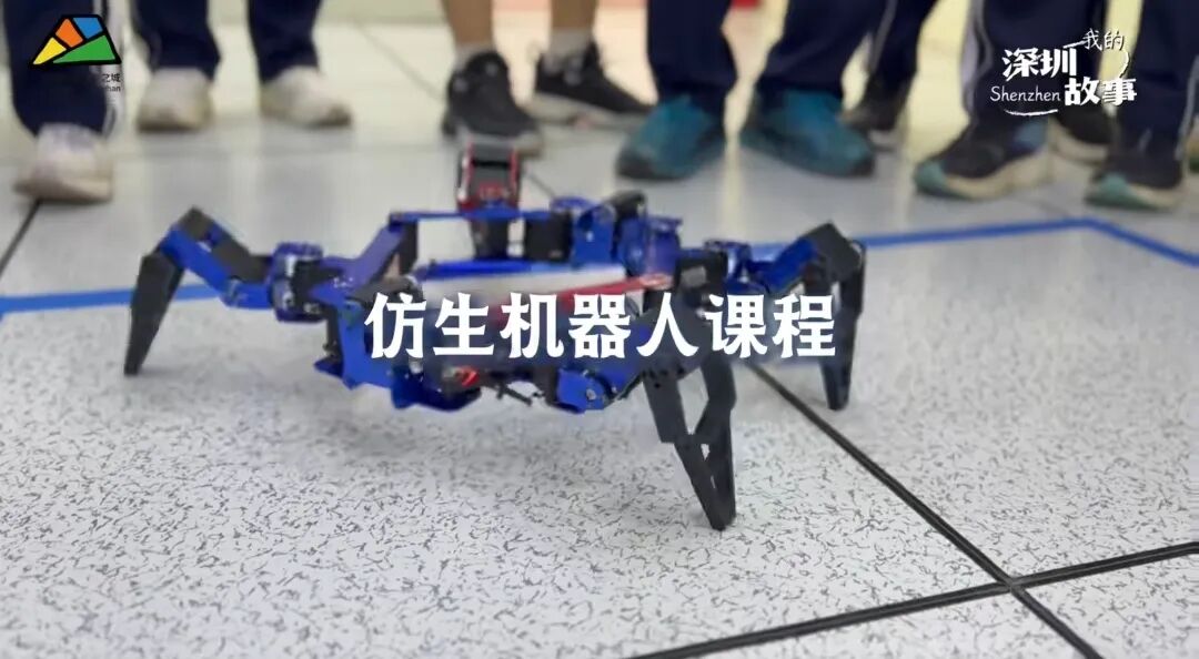 细数时光里的小美好 | 坪山er的2025④