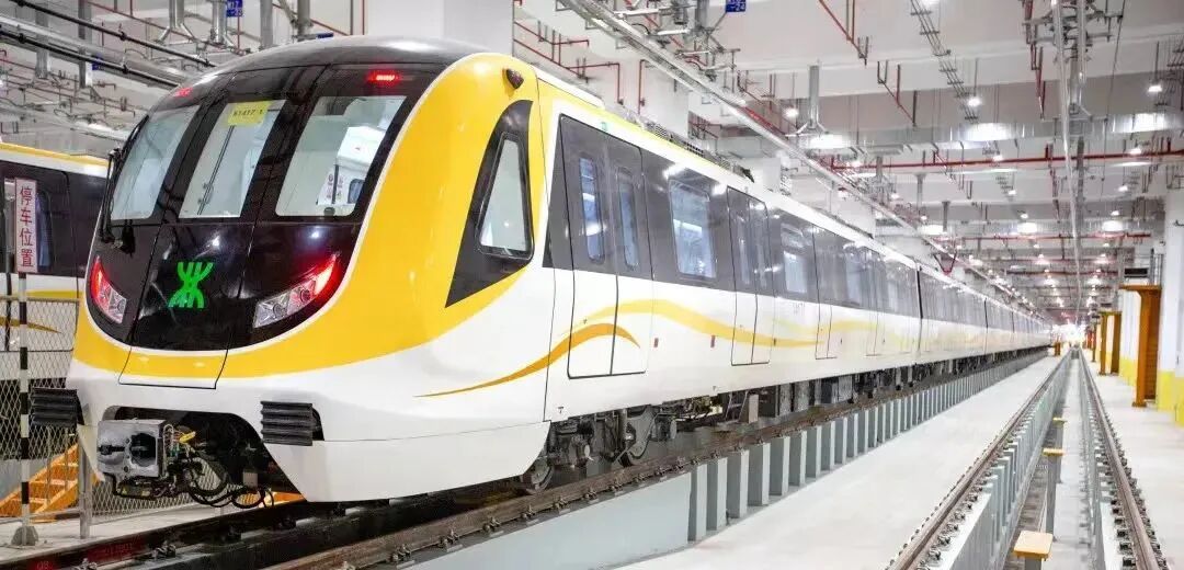 细数时光里的小美好 | 坪山er的2025④