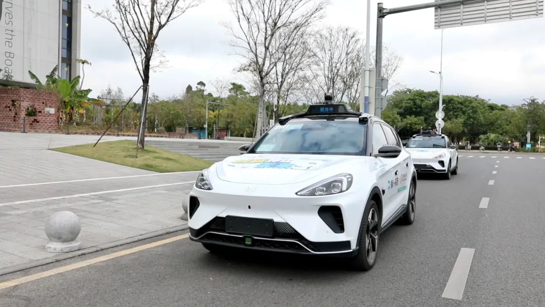 细数时光里的小美好 | 坪山er的2025④