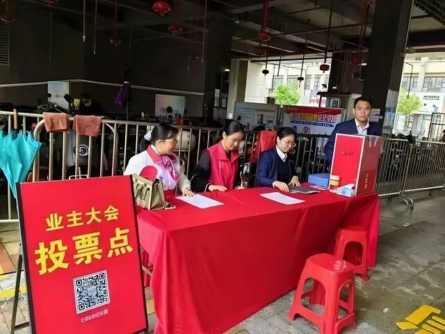 细数时光里的小美好 | 坪山er的2025④ 图片