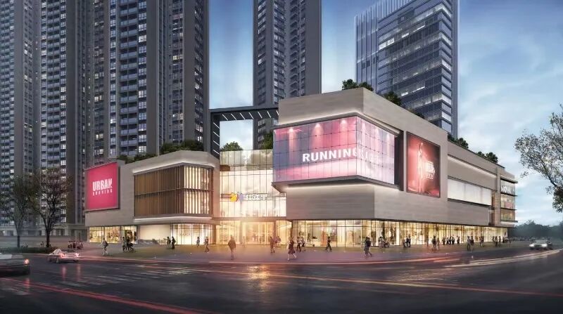 细数时光里的小美好 | 坪山er的2025④ 图片