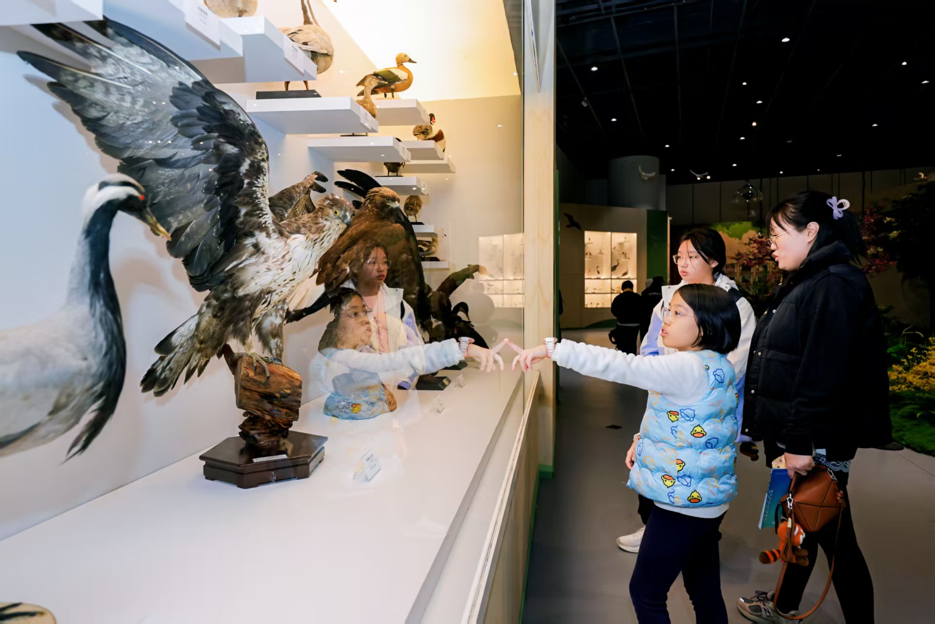 元旦假期首日 “文博游”开启新年“文化味”