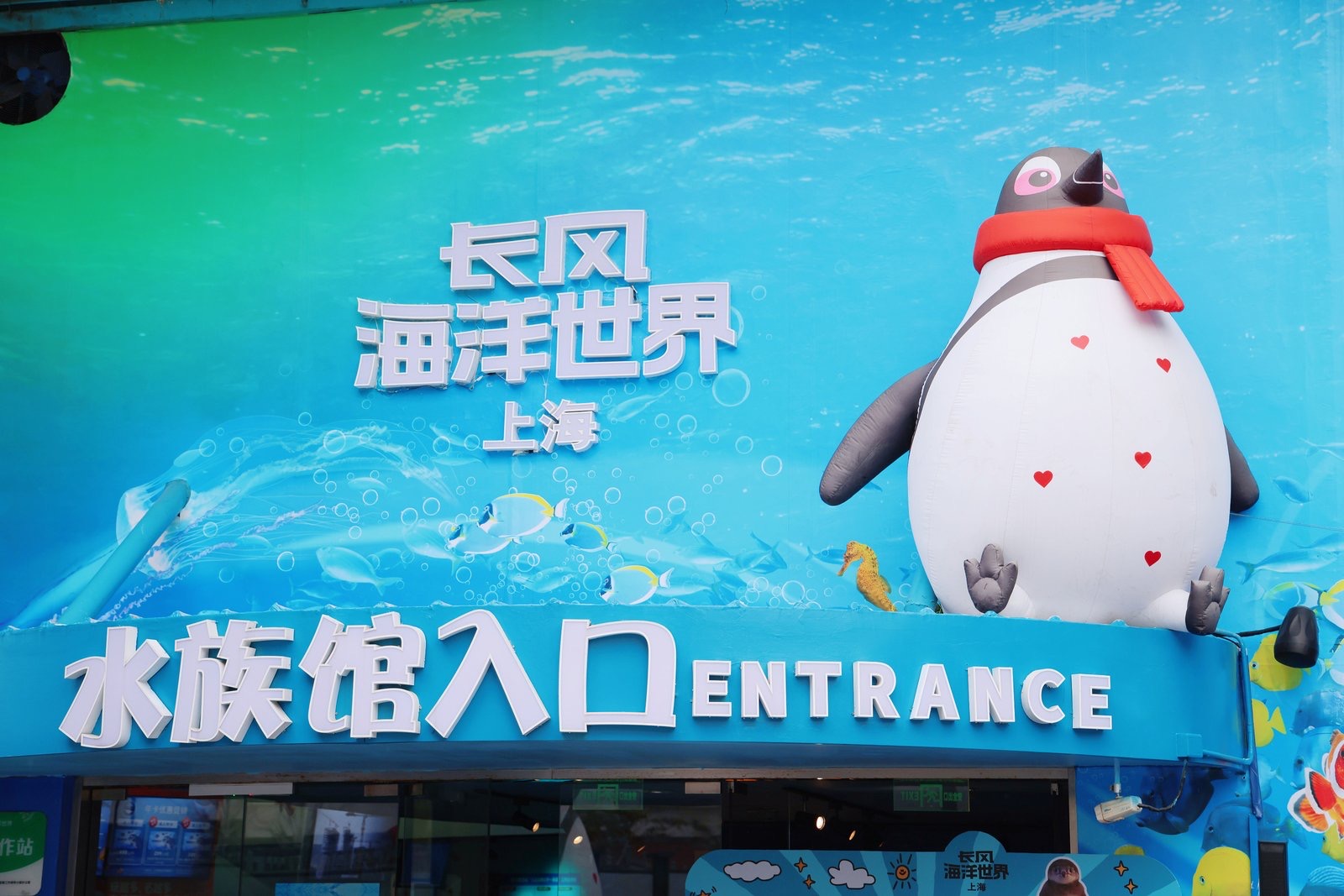 小明看展|上海长风海洋世界企鹅宝宝新年亮相 定名“茂茂” 小明看展|上海长风海洋世界企鹅宝宝新年亮相 定名“茂茂”