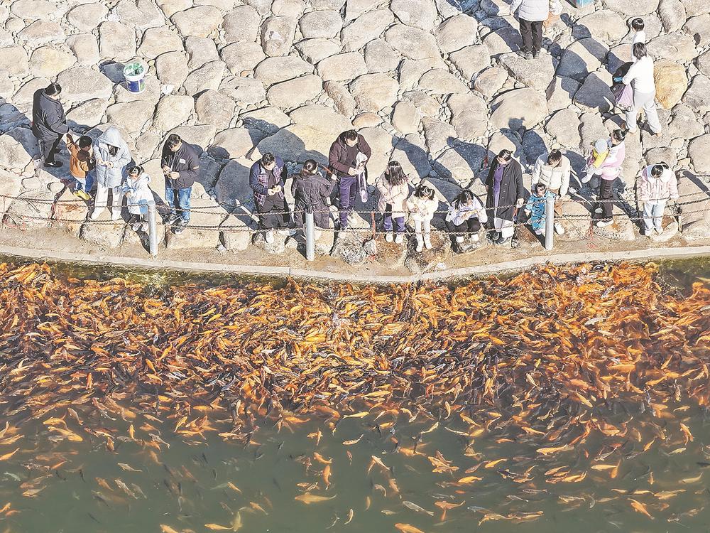 人鱼同乐 水清岸美