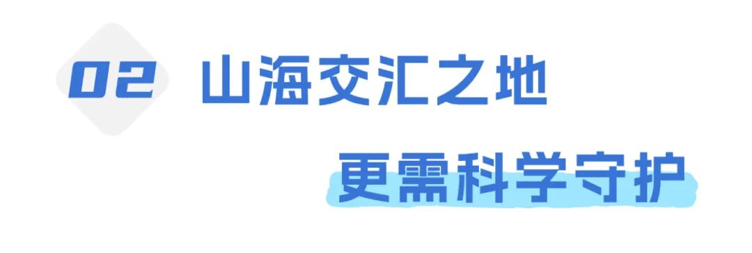 通知公告新闻资讯风公众号双封面公众号首图aigc(3) (4).jpg