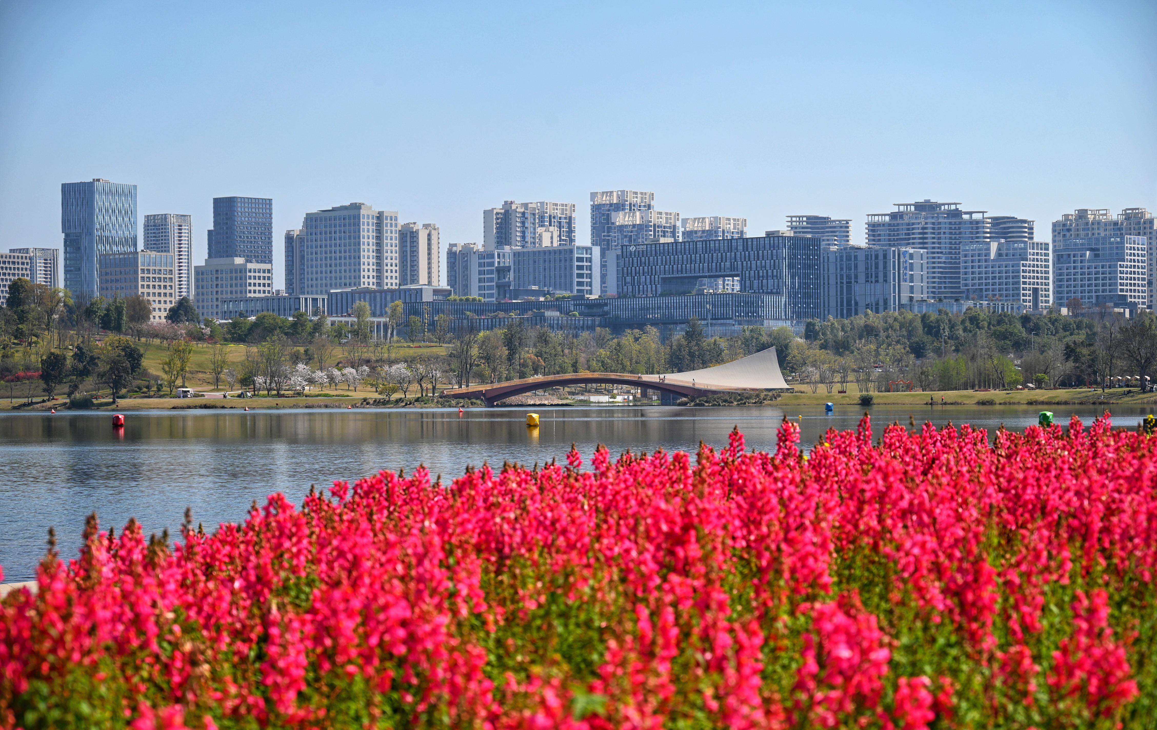 追光“十五五”丨科产融合:科技和产业精准对接,成都向“新”而行