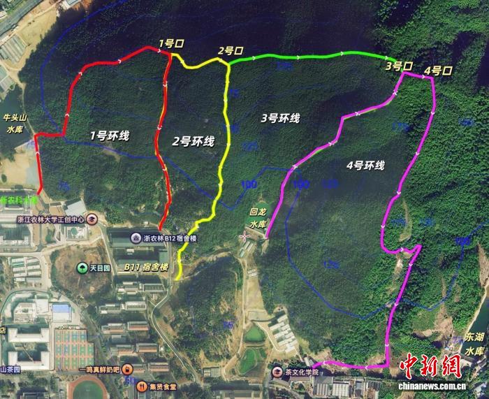 浙江高校上线“丛林穿越”课程 体育课为何放在野外?