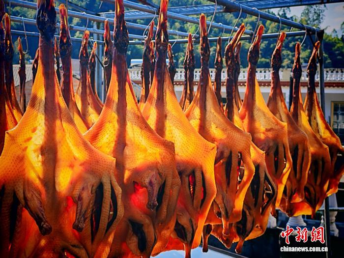 香飘全国的“致富鸭”:广西南乡镇腊鸭2025年产值破1300万元