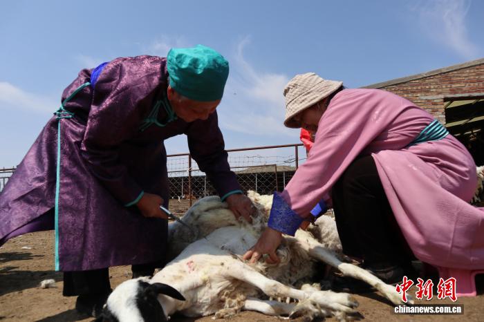 乌兰察布新时代文明实践观察:需求在哪里服务到哪里