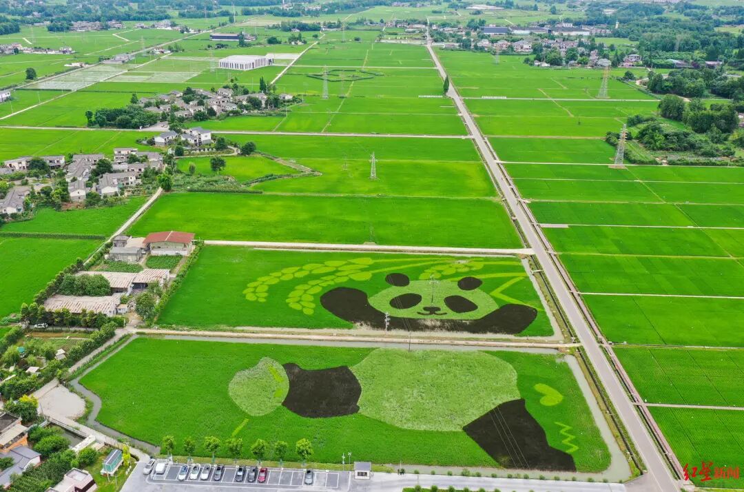 强县活区:以更优格局撬动更强动能