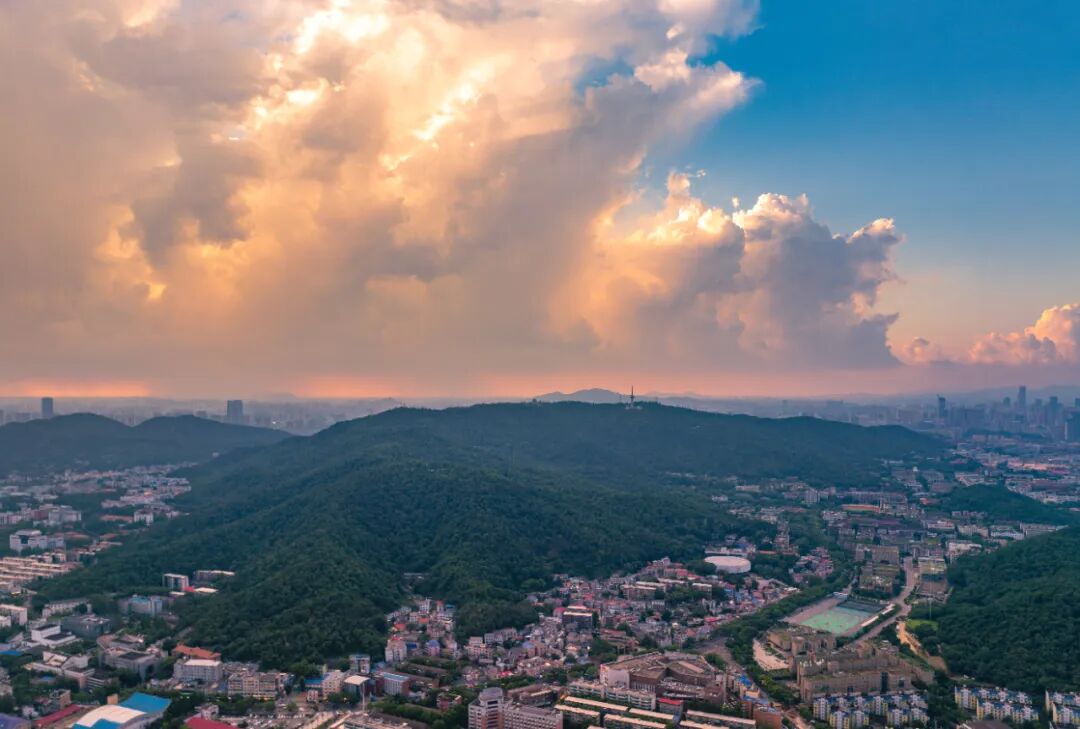 把城市“种”进公园里