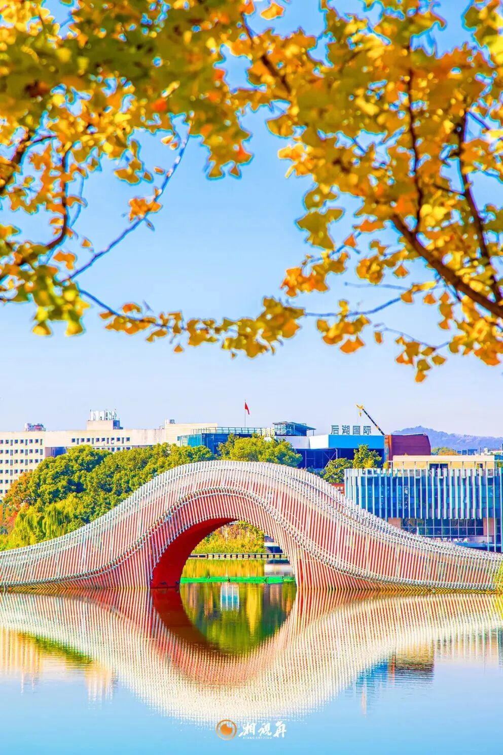 把城市“种”进公园里