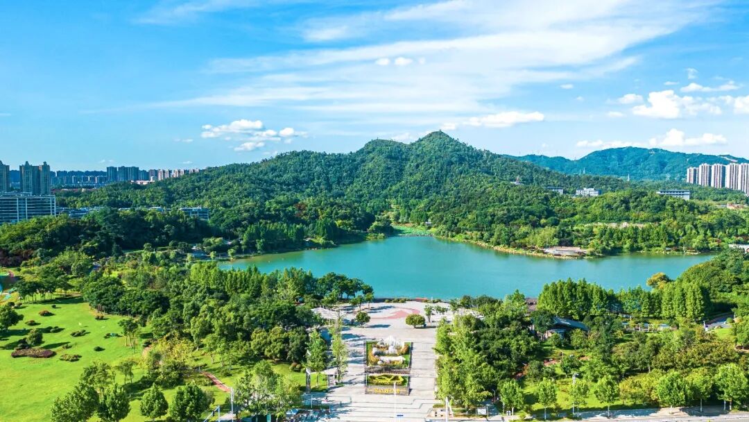 把城市“种”进公园里