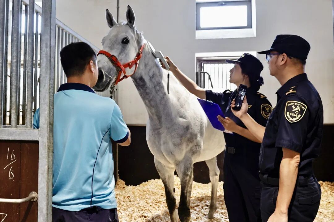 2小时直达，吃货狂喜！广州怎么做到的？