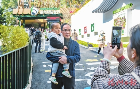 一段开园祝福视频续写两岸熊猫情缘