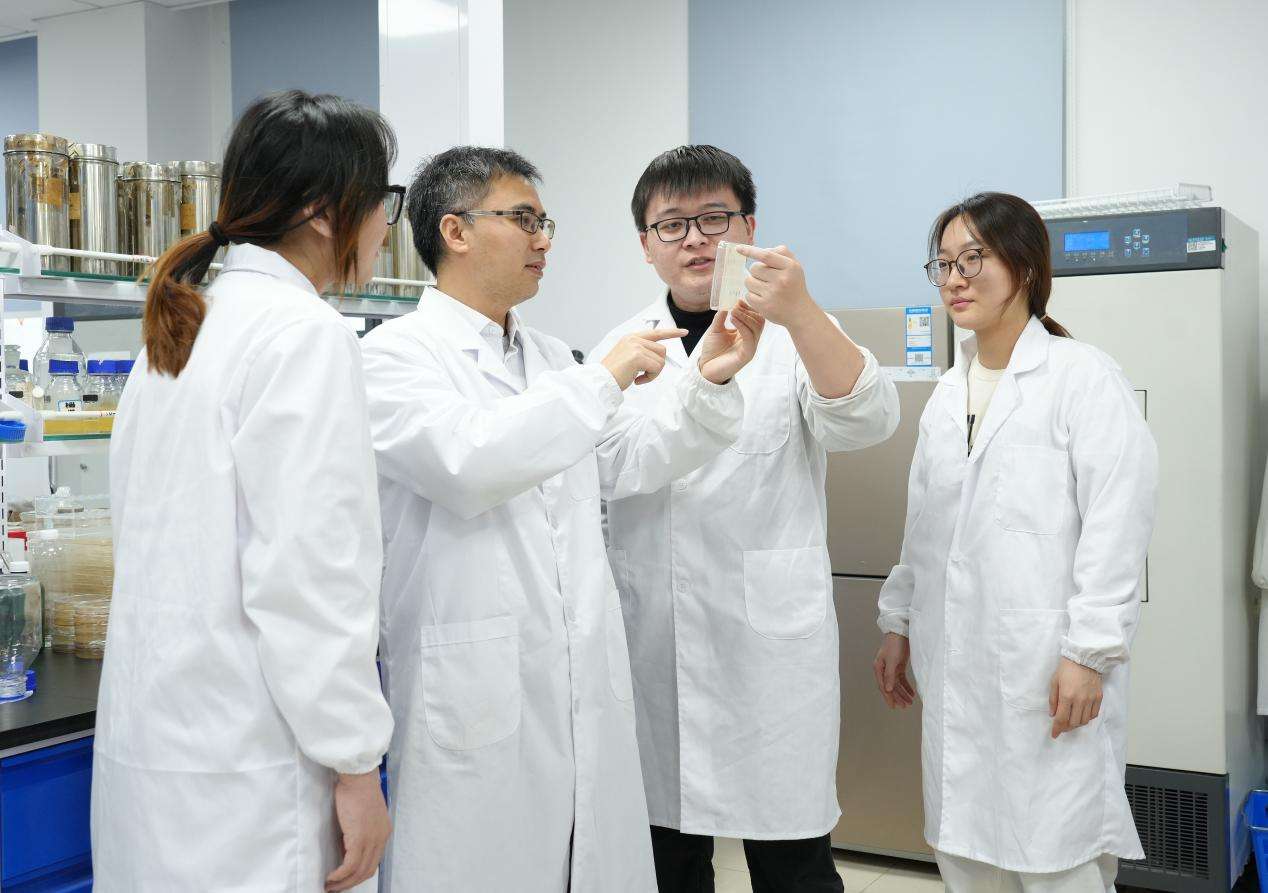 20余年苦心耕耘，华中农大农业微生物资源成果转化近亿元