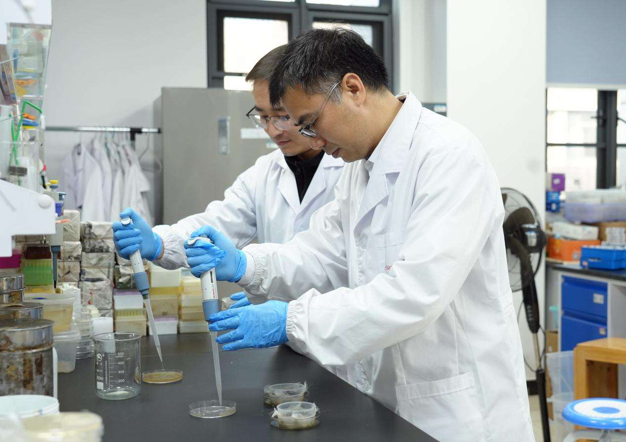 20余年苦心耕耘，华中农大农业微生物资源成果转化近亿元