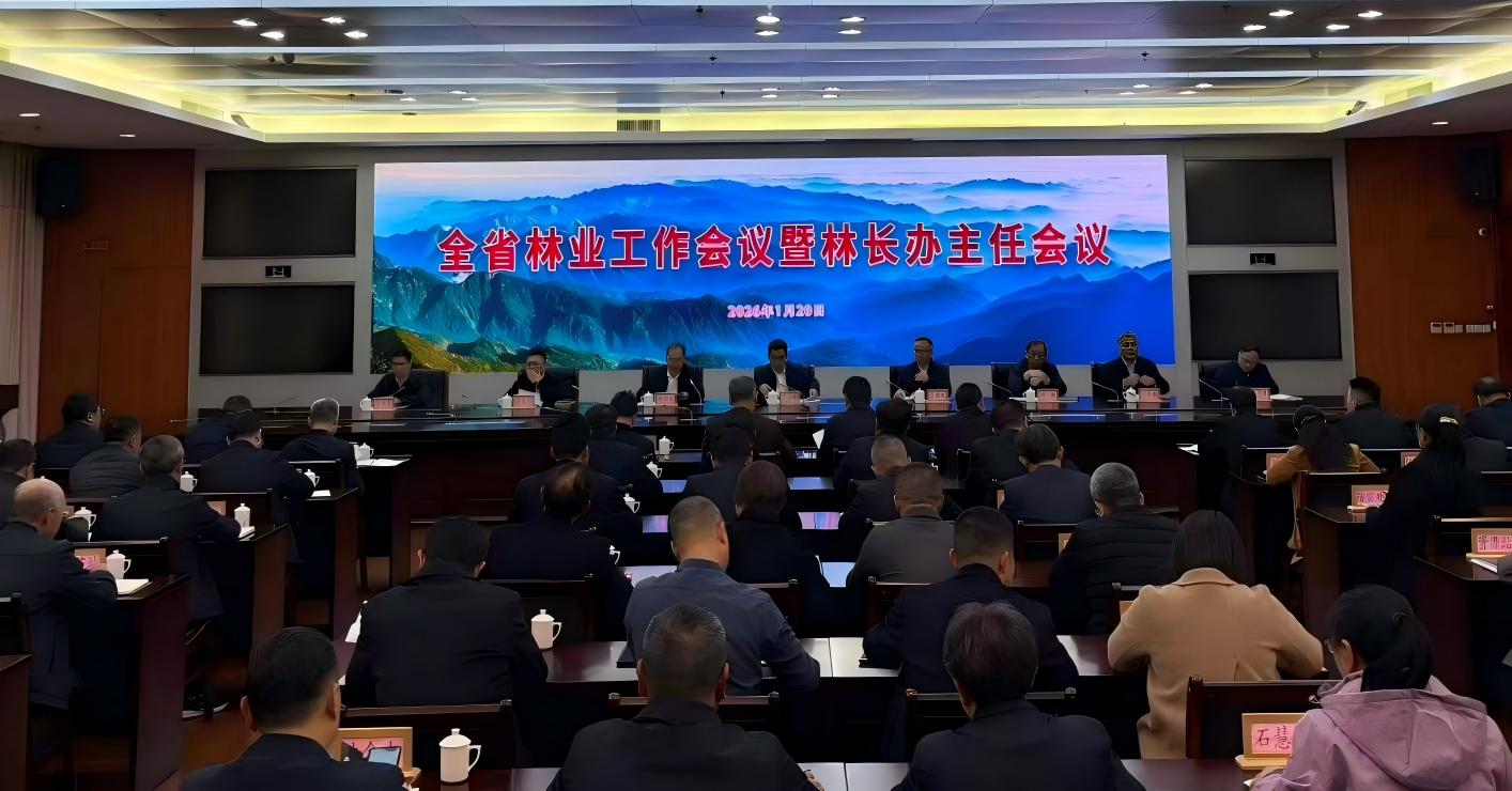 福建部署2026年林业工作：全面深化“三多”改革，精准发力开新局