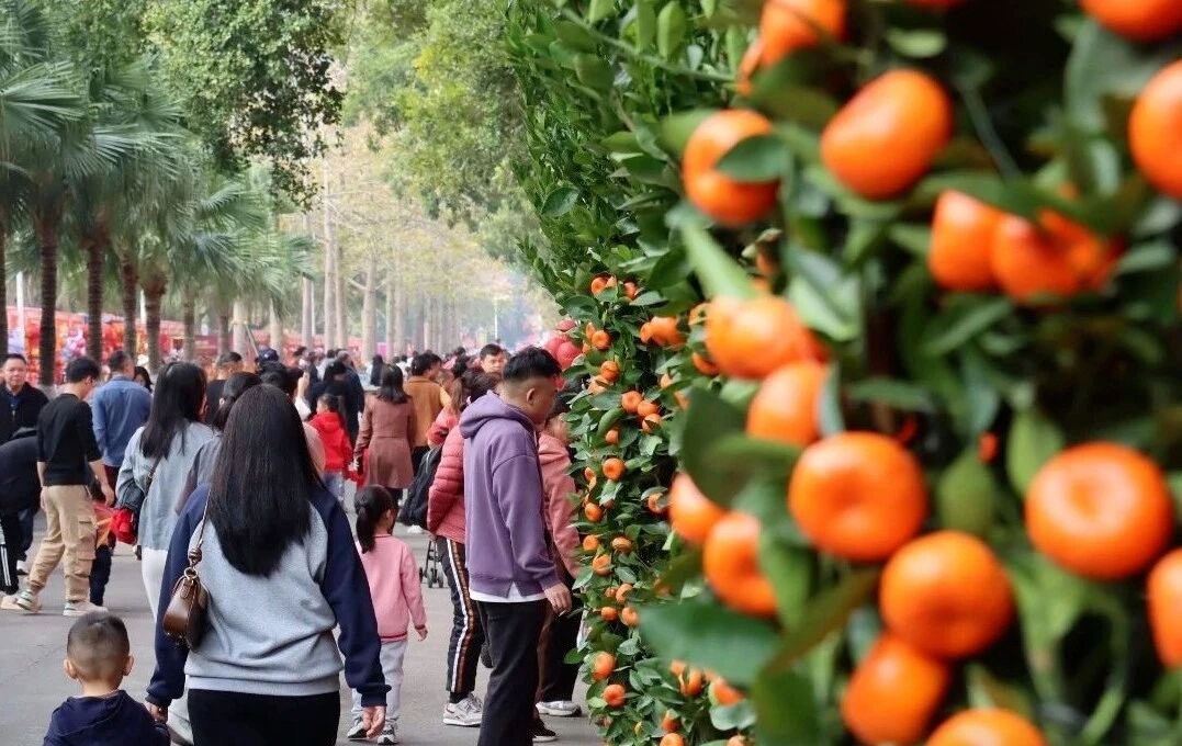 大湾鸡空港送“福”!广州启动“文艺赋美城市”行动
