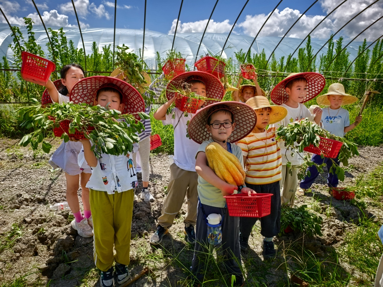 “社区合伙人”握指成拳 “响樱力”党建品牌释放惠民影响力