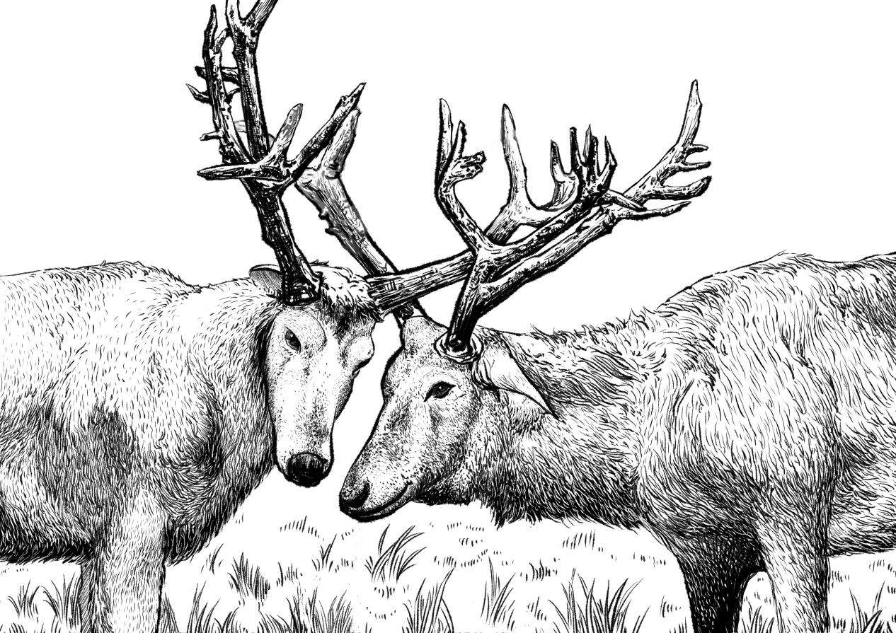 中国地质大学（武汉）师生创作《石首生态修复记》呈现美丽之变