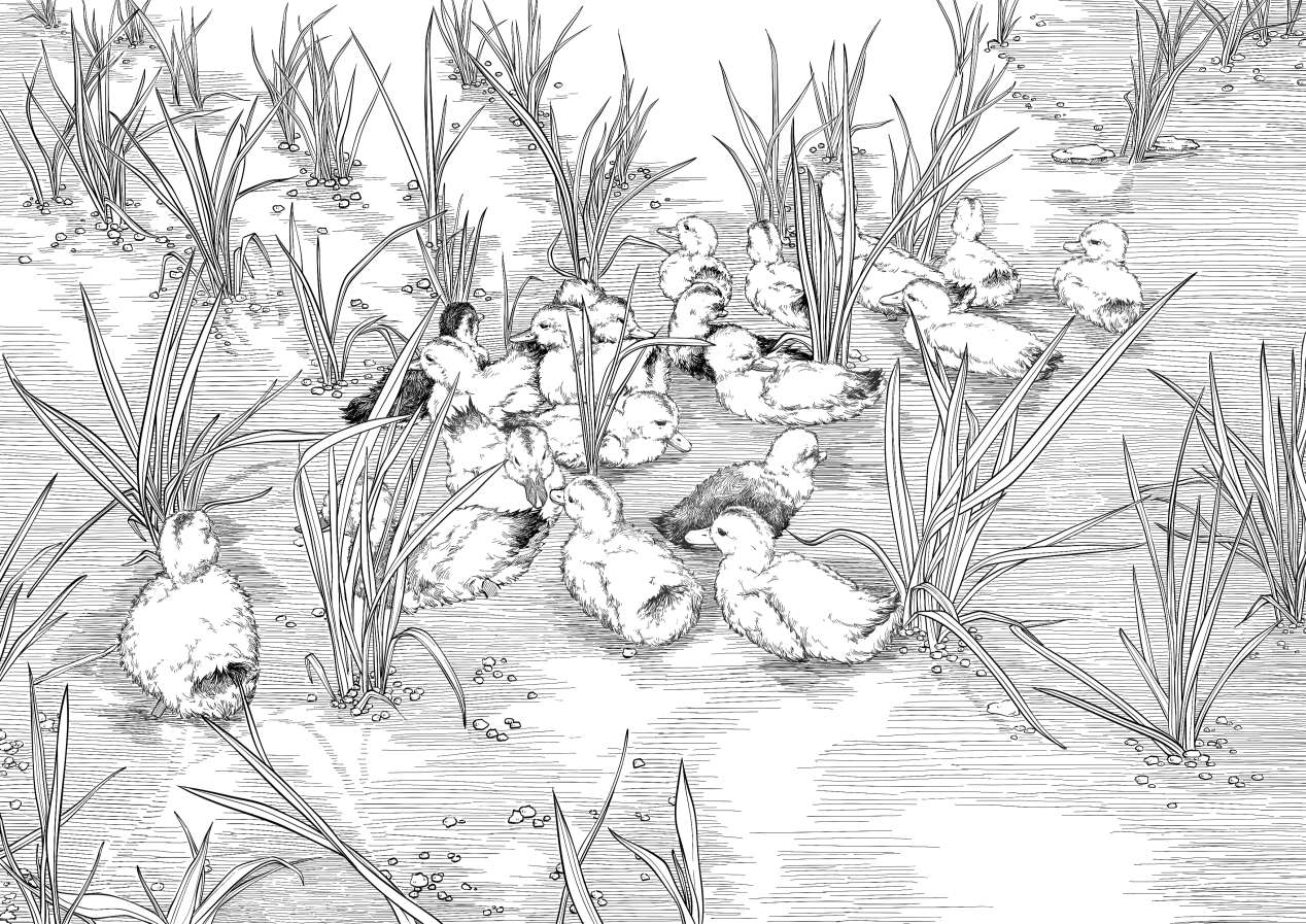 中国地质大学（武汉）师生创作《石首生态修复记》呈现美丽之变