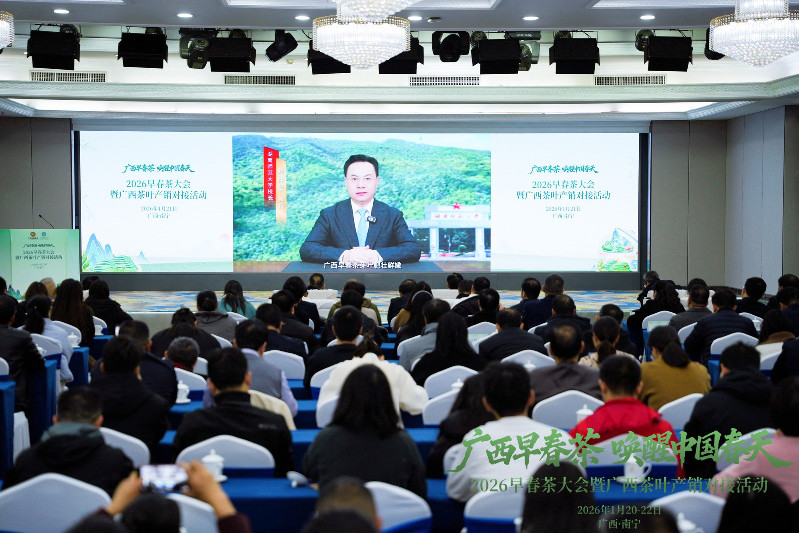 2026年广西新春茶市开启